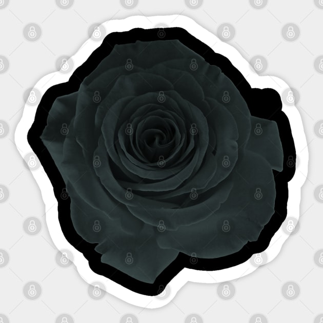 Black Rose Sticker by RaphaelWolf